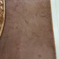 موکت پالاز کناره|موکت|قزوین, |دیوار