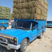 خریدار یونجه و علف هستم|خدمات باغبانی و درختکاری|اشنویه, |دیوار