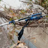 اره برقی شاخه زنی