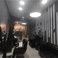 2عدد آویز و لوستر با ریموت نور دهی در سه رنگ