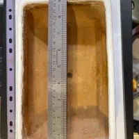 ۷ عدد گل زیبا و ۴ عدد گلدان بنسای|گل و گیاه طبیعی|تبریز, |دیوار