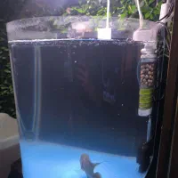 آکواریوم نو استوانه همراه با متعلقات و ماهی فلاور