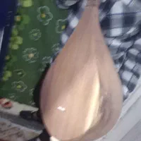 دوتارخراسان بزرگ