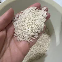 برنج هاشمی|خوردنی و آشامیدنی|رشت, شهرک صبا|دیوار