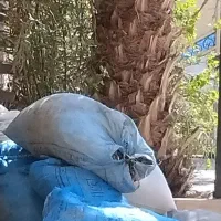 نان خشک برای حیوانات