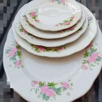 فروش عمده و تکی ظروف چینی اَرکوپال اصل|ظروف سرو و پذیرایی|رفسنجان, |دیوار