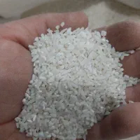 برنج نیمدانه هاشمی  سورتینگ شده