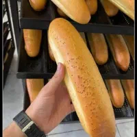 پخش باگت نظرآباد
