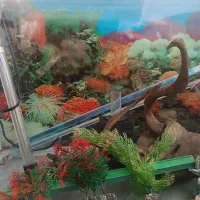 اکواریوم دور خم خیلی‌ تمیز بدون ایراد