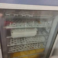 فروش دستگاه جوجه کشی بلدرچین دماوند