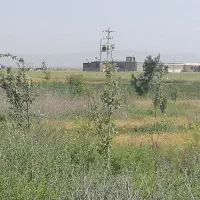 باغ|خدمات باغبانی و درختکاری|اردبیل, |دیوار