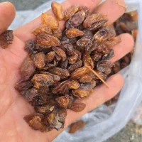 کشمش خواراکی و غیر خوارکی