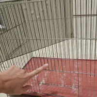 قفس جوجه پرون|لوازم جانبی حیوانات|شاهینشهر, نظامی|دیوار