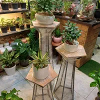 استند گل و پایه گل