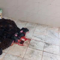 قصابی شبانه روزی|خدمات پذیرایی، مراسم|اراک, |دیوار