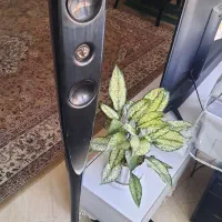 دو عدد باند ال جی اصل کره بدون آمپلی و ساب