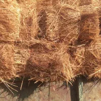 چیمن گمیش پرس