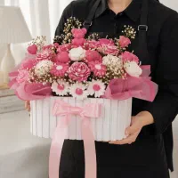 آموزش رایگان