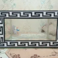 آکواریوم و زایشگاه و گل|ماهی|ملایر, |دیوار