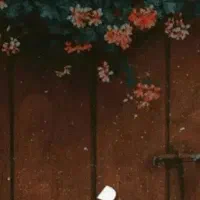 پرده سلطنتی..۶متری