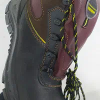 کفش|کیف، کفش، کمربند|بروجن, |دیوار