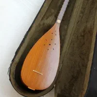 تنبور دیبا به همراه هاردکیس