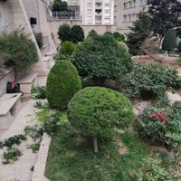 باغبانی سمپاشی گل کاری هرس تعویض گلدان با ضمانت|خدمات باغبانی و درختکاری|تهران, تجریش|دیوار