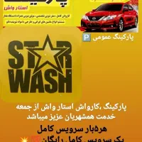 نیروی ماهر در کارواش