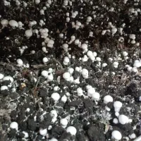 فروش کمپوست قارچ توافقی با مواد آلی کود