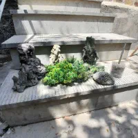 اکواریوم. شازند|ماهی|اراک, |دیوار