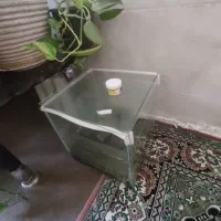 اکفاریم|ماهی|شیراز, پانصد دستگاه ارتش|دیوار