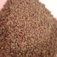 کشمش تمیز