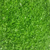 سبزیجات خانگی|خوردنی و آشامیدنی|ایلخچی, |دیوار