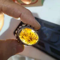 شجر|جواهرات|کرج, حصارک پایین|دیوار