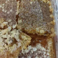 عسل صددرصدطبییعی ودرمانی