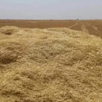 فروش