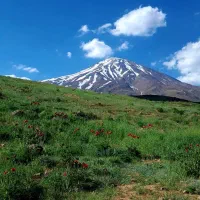 همنورد و هم‌سفر برای کوه، جنگل و کمپینگ