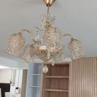 دو عدد لوستر