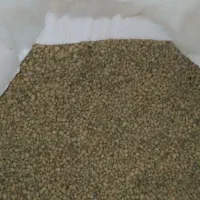 لوبیا اشی لوبیا|حراج|دره شهر, |دیوار