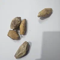 مهره قدیمی عکس ببین