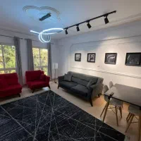 اجاره آپارتمان تک‌خواب در مرکز شهر/پارت و روژانه