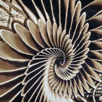 فرش 6 متری