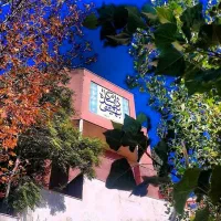 مشاوره تحصیلی/مشاور کنکوری با رتبه های برتر فردوسی