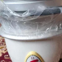 پلوپز برقی نو هستش