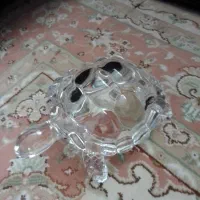 لاک پشت کریستال