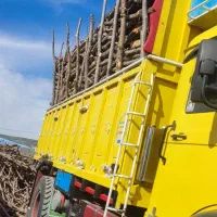 چوب|خدمات باغبانی و درختکاری|آباده, |دیوار