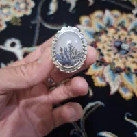انگشتر شجر بی‌نظیر