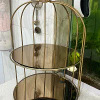 استند دو طبقه