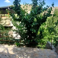 105متر-مغازه-تجاری-دائم-خیابان-امام-رضا-حامدطلوع