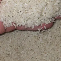 ۱۴۰ کیلو برنج جمشید گیلان. خوش پخت